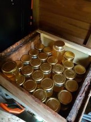 The last of our honey harvest for the year
