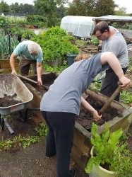 Our volunteers moving one of our raised beds. The bed needed to be emptied first